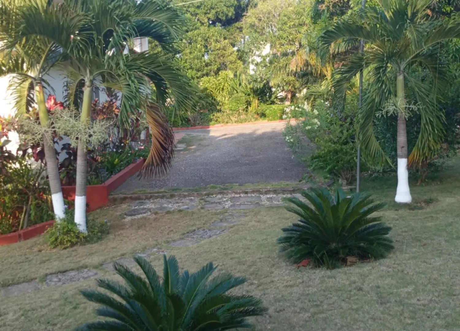 Boni Chateau Vacation Spot Is A One Bedroom Self-Contained Apartment For Travelers Needing To Be In Tune With Nature Discovery Bay Jamaica