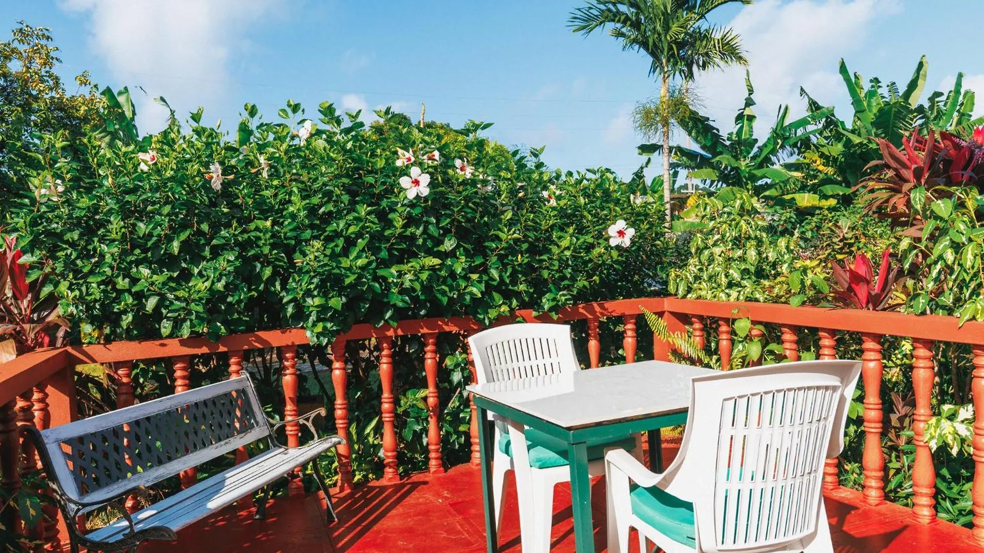 Boni Chateau Vacation Spot Is A One Bedroom Self-Contained Apartment For Travelers Needing To Be In Tune With Nature Discovery Bay